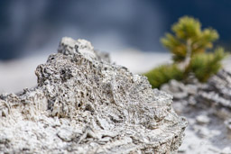 Mammoth Hot Springs