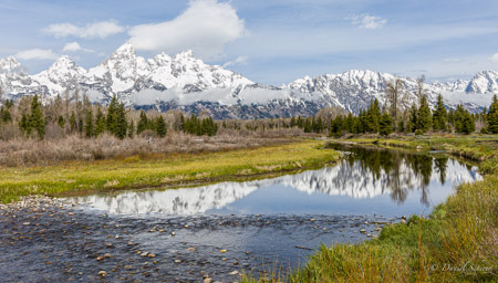 GRAND TETON NP 2019