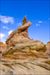 Coyote Butte south - Cottonwood