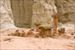 Toadstool Hoodoos