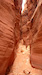 Bucksin Gulch Canyon