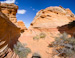 Coyote Buttes South